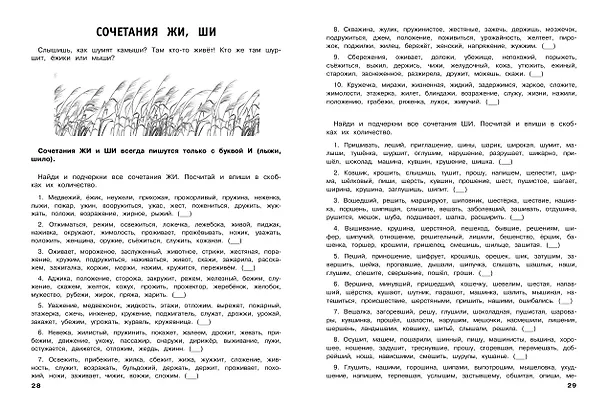 Книга Русский язык. Тренировочные задания. 1 класс (Владимир Королев) — 7