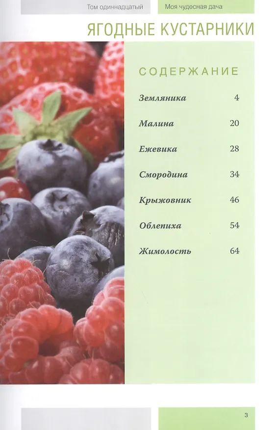Книга Моя чудесная дача т.11 Ягодные кустарники (Горбунов) (Юрий Горбунов) — 2