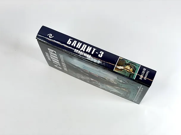 Книга Бандит-3. Академия (Евгений Щепетнов) — 7