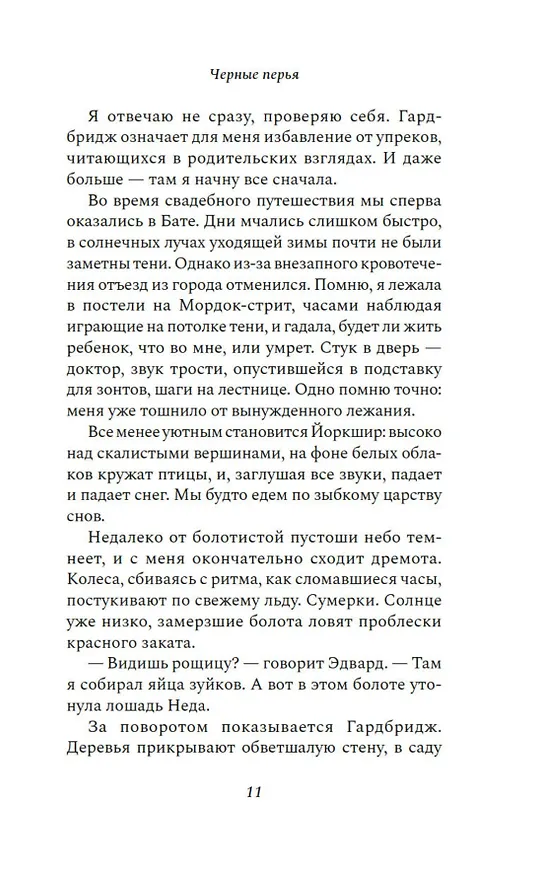 Книга Черные перья (Ребекка Нетли) — 15