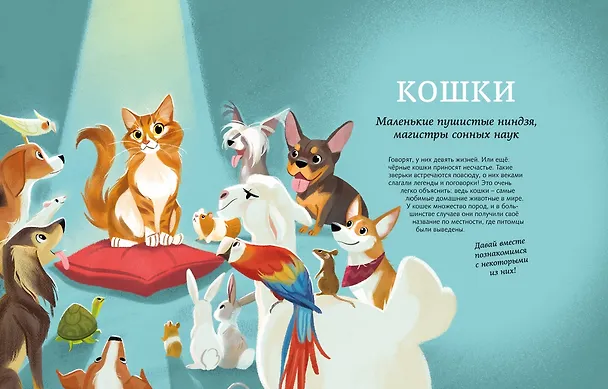 Книга Все-все-все домашние питомцы (Алтея Вилла) — 10