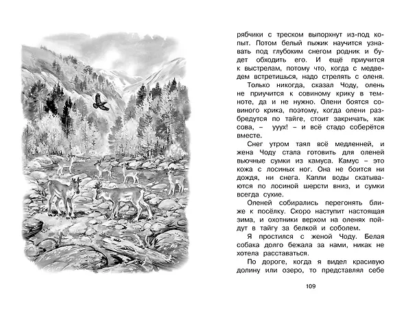 Книга Беспокойный хвостик (Геннадий Снегирёв) — 9
