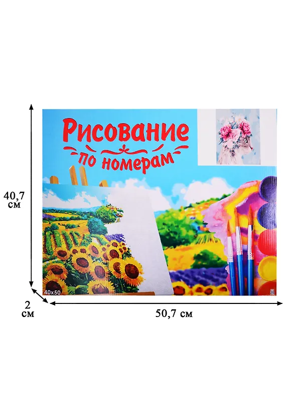 Набор д/творчества Рыжий кот Холст с красками 40х50см Котик с цветами Х-9008 2827550 — 3