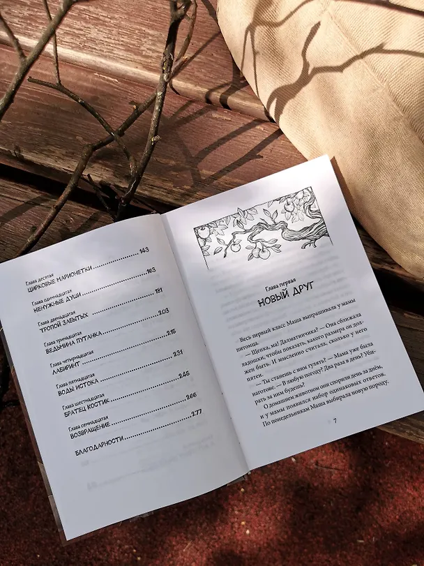 Книга Хроники Перепутья (Алиса Аве) — 12
