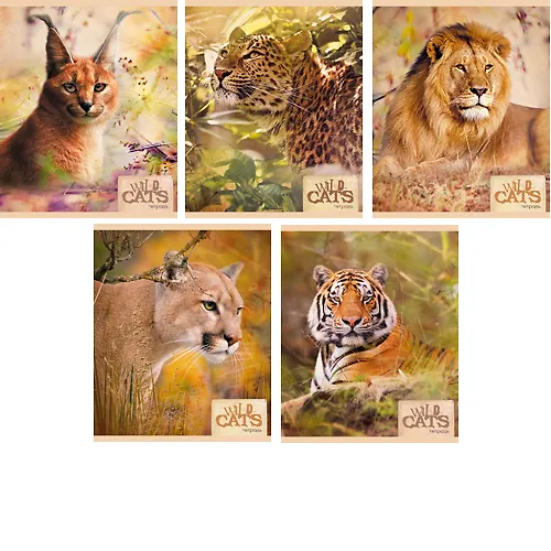 Тетрадь 48л кл. "Хищники (Wild cats)" мел.картон, ассорти, Unnika 227287 — 1