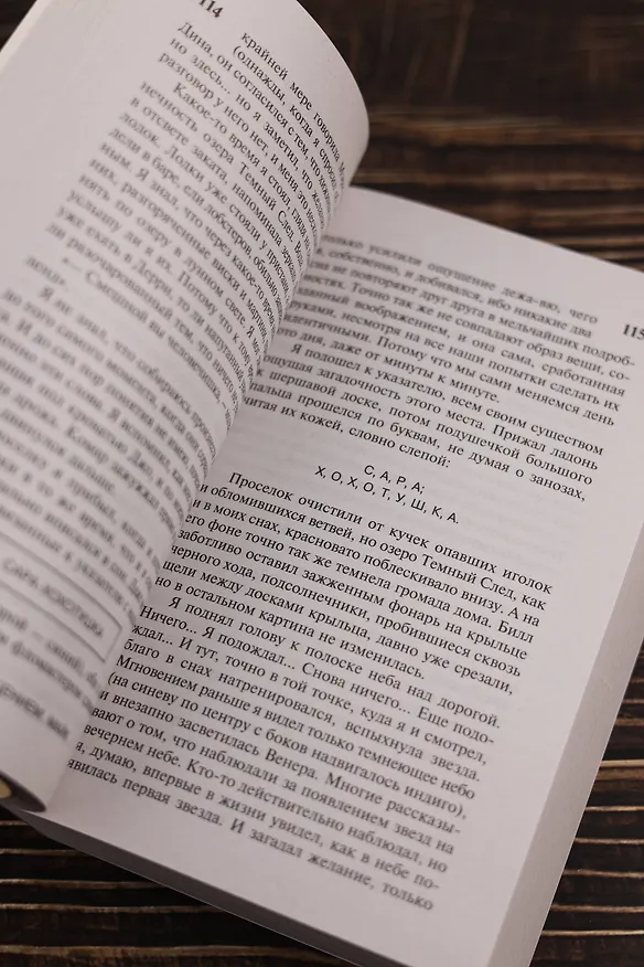 Книга Мешок с костями (Стивен Кинг) — 9