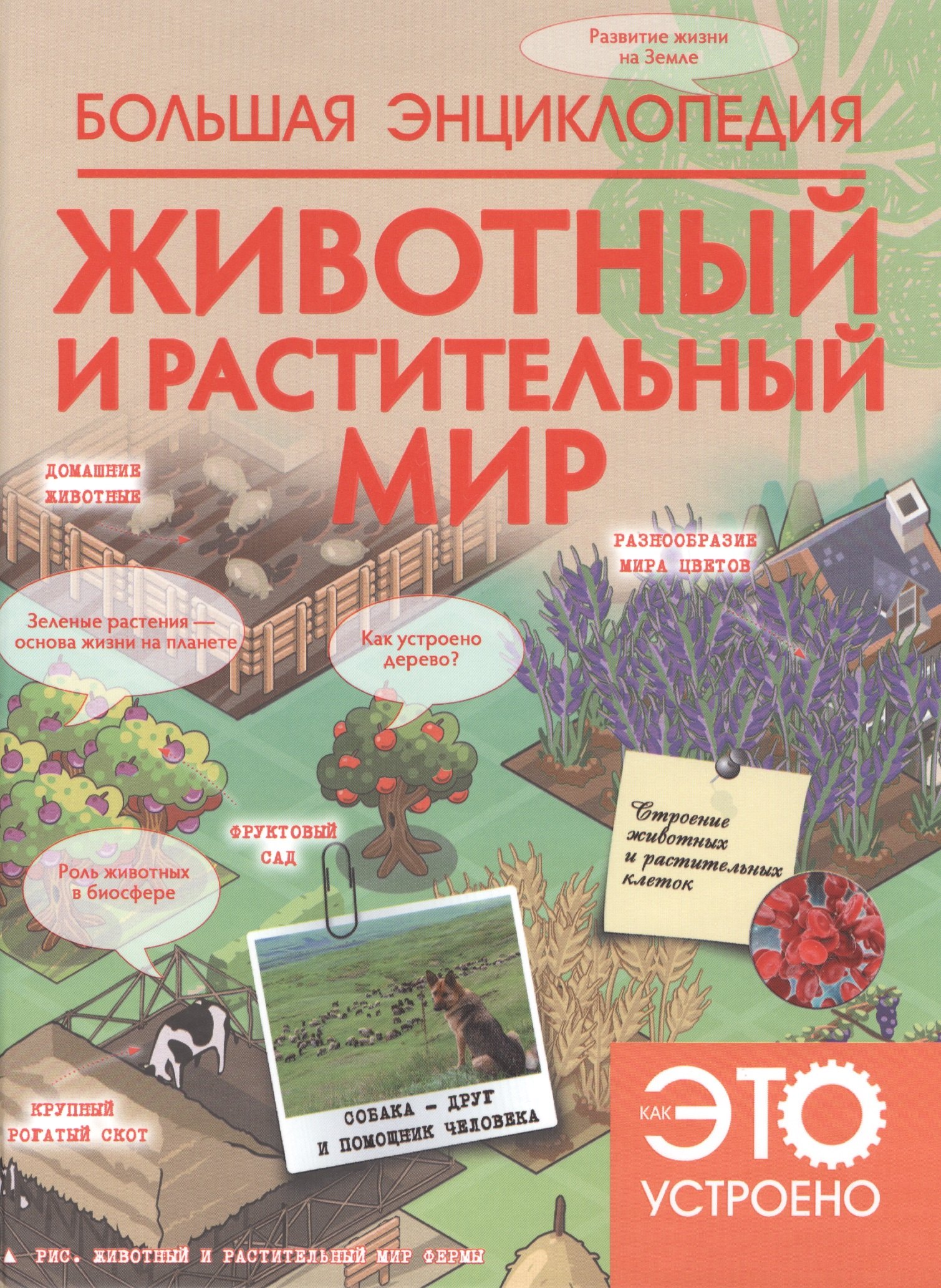 

НГ(под)2016!КакЭтоУстроено.Бол. энц:Животный и растительный мир