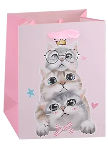 Пакет А5 23*18*10 "Kittens on party" жен., бум.мат.ламинат 