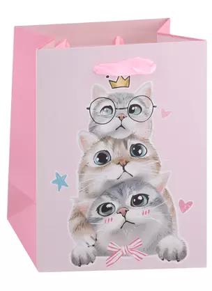 Пакет А5 23*18*10 "Kittens on party" жен., бум.мат.ламинат — 2950376 — 1