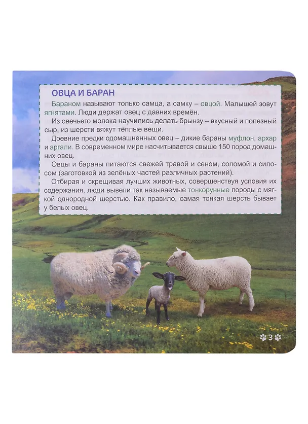 Книга ЭНЦИКЛОПЕДИЯ С КРУТЯЩЕЙСЯ ШПАРГАЛКОЙ. Домашние животные () — 5