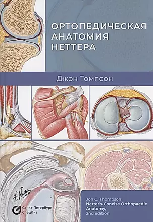 Ортопедическая анатомия Неттера — 2923945 — 1
