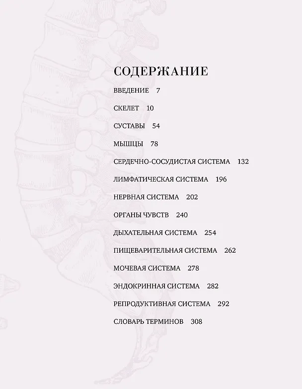 Книга Анатомия (Джозеф Куртис) — 4