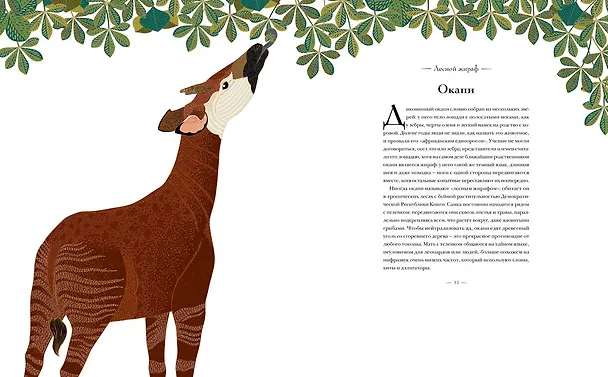 Книга Книга исчезающих животных для неравнодушных сердец (Милли Маротта) — 10