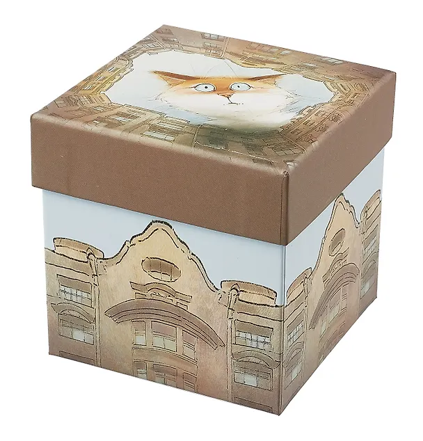 Коробка подарочная СПб "Чувиляева. Кот Арсений. Двор-колодец" 9,5*9,5*10см, картон 3031445 — 1