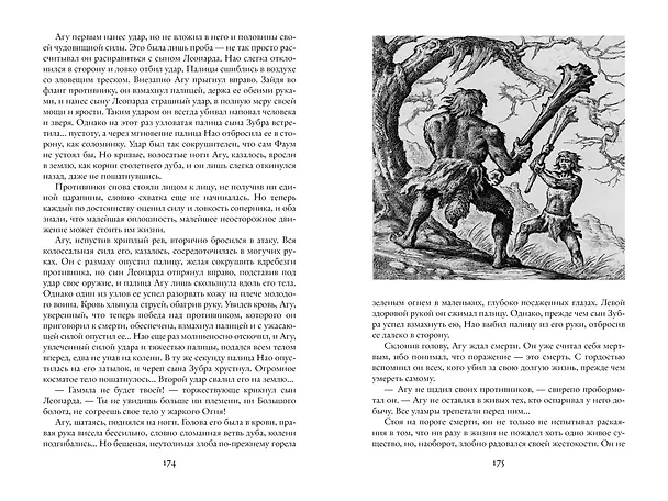 Книга Борьба за огонь (Жозеф-Анри Рони-старший) — 12