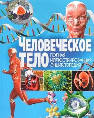 ПИЭ. Человеческое тело — 2656276 — 1