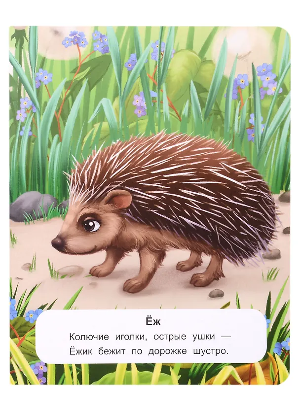 Книга Лесные животные: стихи (Кристина Хомякова) — 3
