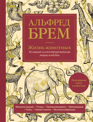 Жизнь животных. Большая иллюстрированная энциклопедия — 2937097 — 1