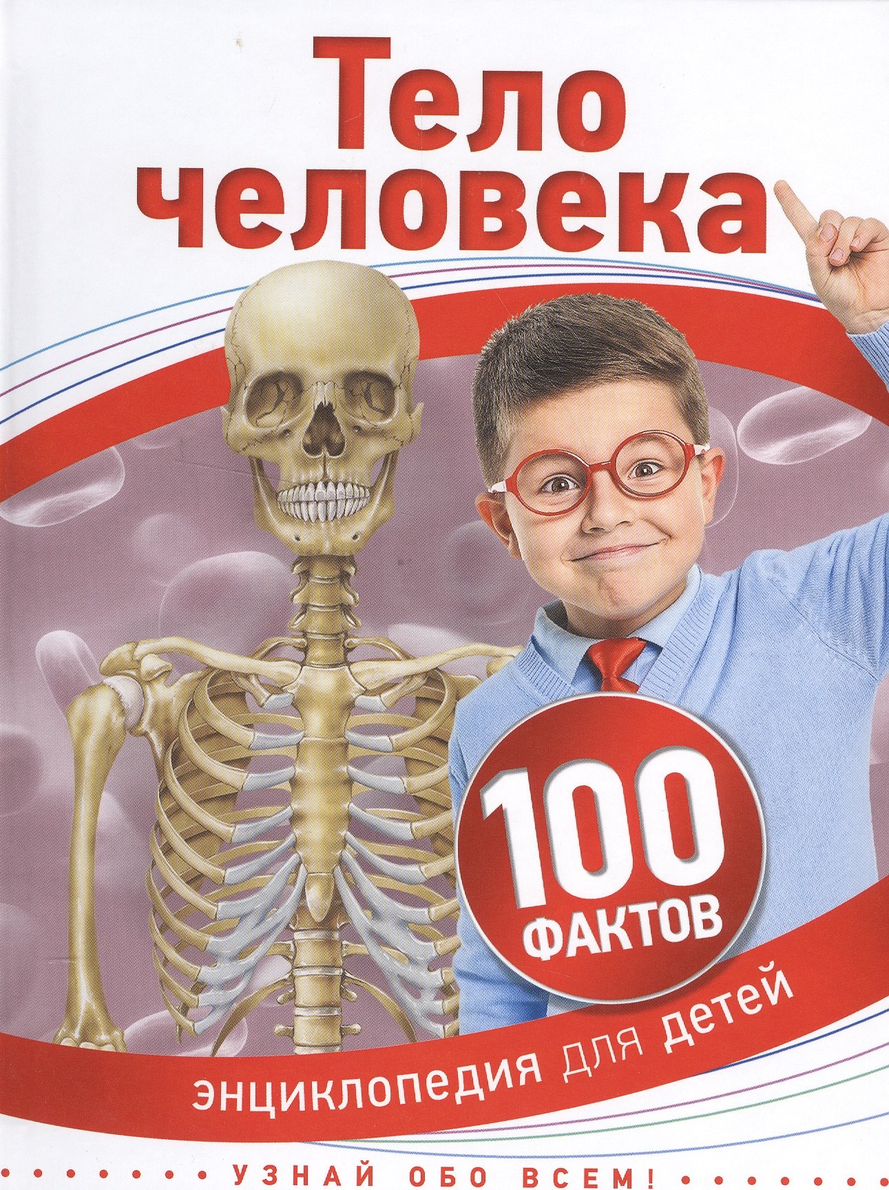 

Тело человека