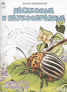 Насекомые и паукообразные