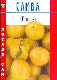 Слива (Посади сам) (мягк). Титов Д. (Школьник)