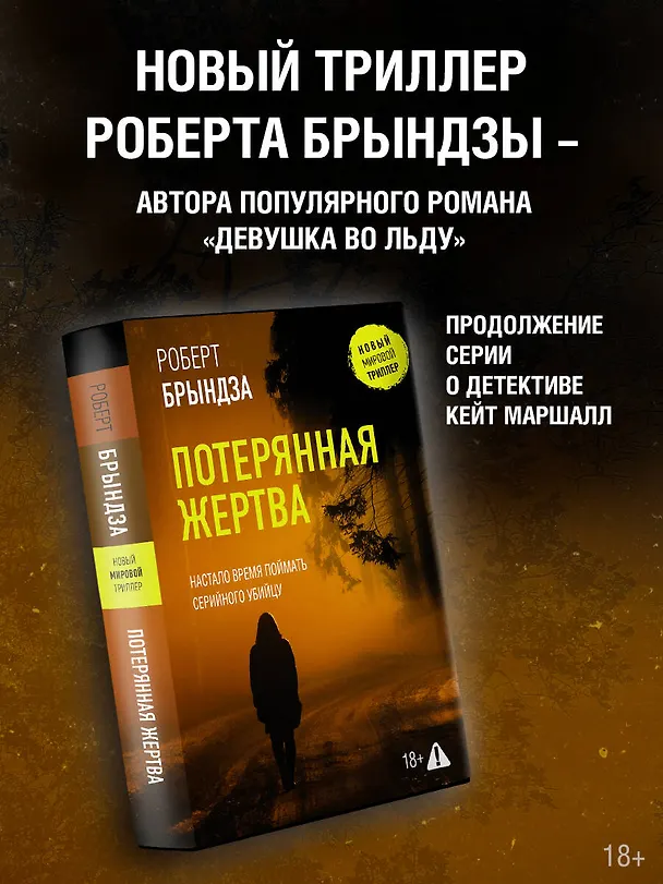Книга Потерянная жертва (Роберт Брындза) — 5