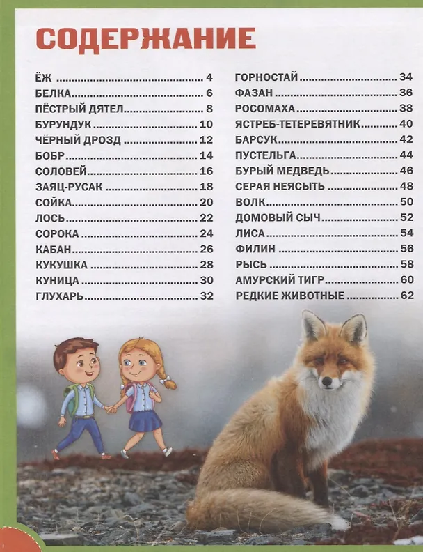Книга Животные лесов России. Детская энциклопедия () — 2
