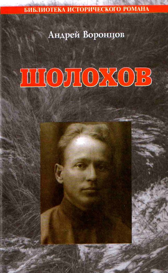 Книга Шолохов: Роман. (Андрей Воронцов) — 1