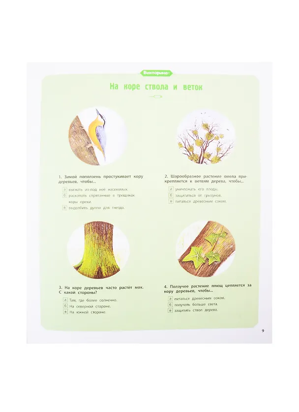 Книга Деревья и кустарники (Натали Торджман) — 7