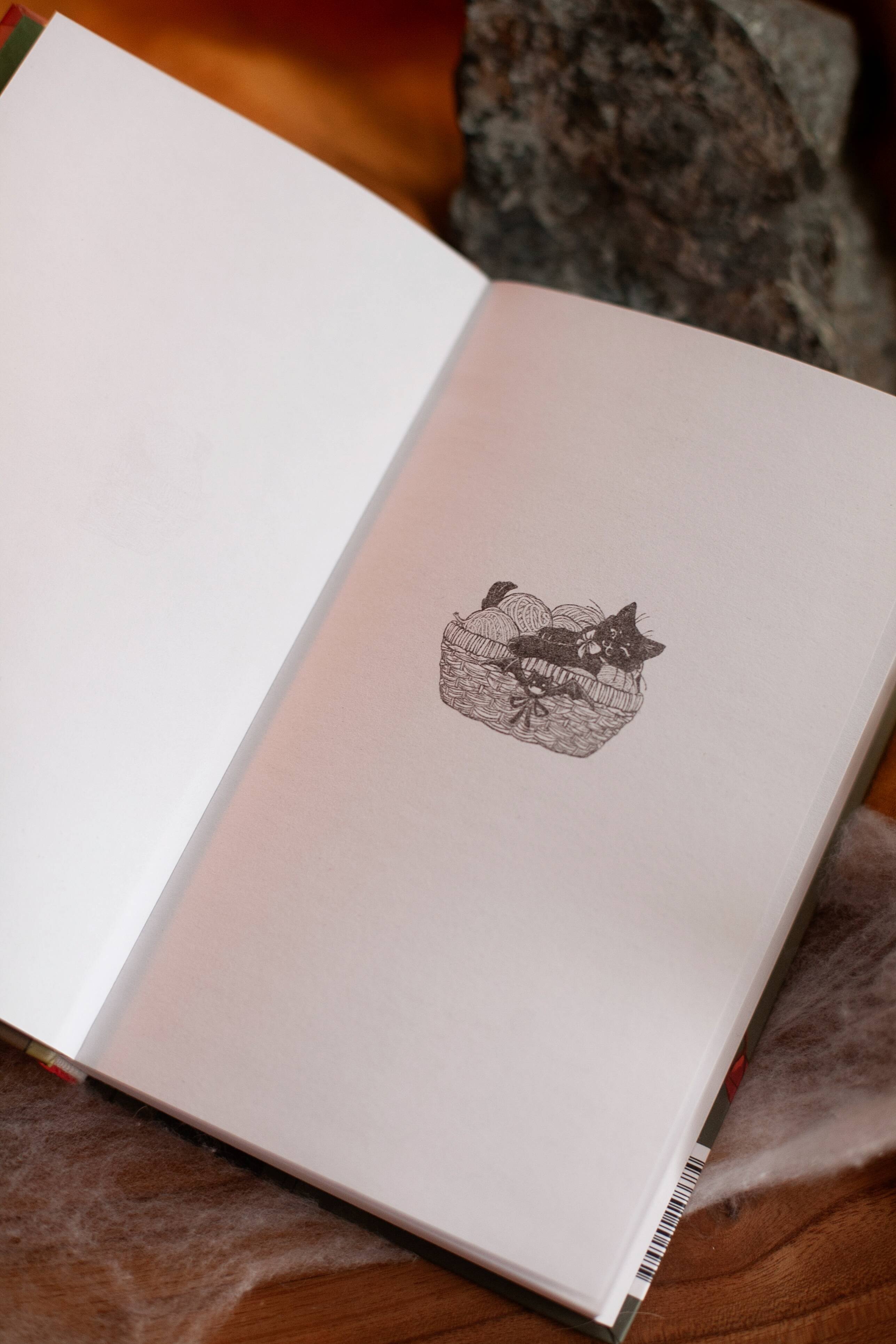 Изображение бумажной книги