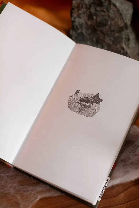 Книга Вампирский клуб вязания (Нэнси Уоррен) — 11