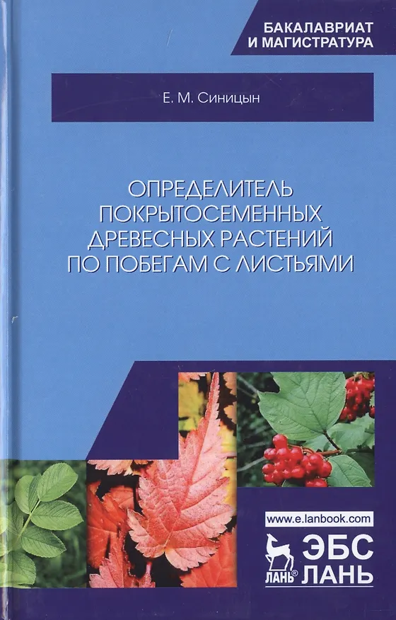 Книга Определитель покрытосеменных древесных растений по побегам с листьями. Учебное пособие (Евгений Синицын) — 3