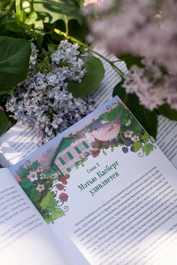 Книга Аня из зеленых мезонинов (Люси Мод Монтгомери) — 11