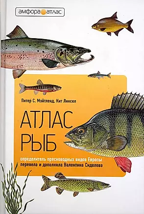 Атлас рыб: Определитель пресноводных видов Европы — 2220086 — 1