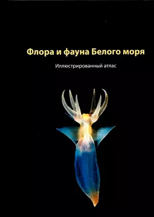 Флора и фауна Белого моря. Иллюстрированный атлас — 3036854 — 1