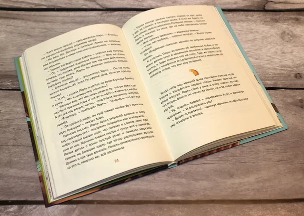 Книга Сыщики на острове (выпуск 1) (Флориан Бекерхоф) — 10