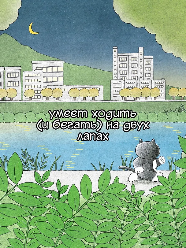 Книга Пушистый шеф (Мин Джон Хон) — 10