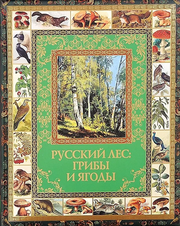 Книга Русский лес: грибы и ягоды (короб) (Владимир Бутромеев) — 1