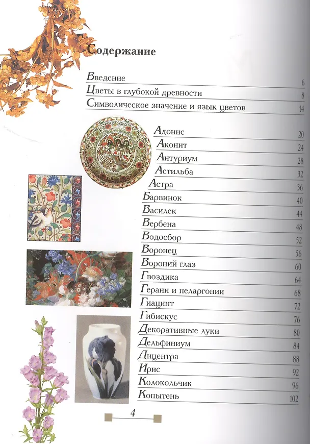 Книга Мир цветов. Истории, загадки, факты (Андрей Лысиков) — 2