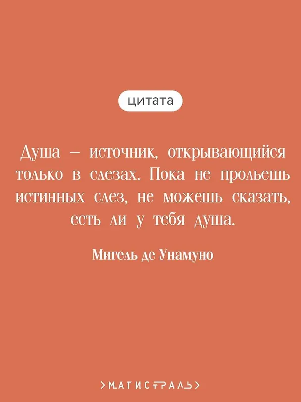 Книга Туман (Мигель де Унамуно) — 9