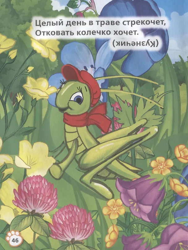 Книга Загадки о животных (Владимир Степанов) — 3