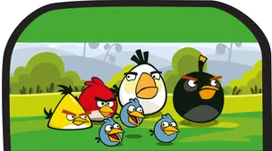 Пенал-косметичка 2отд. "Angry Birds" 20*9*5см, полиэстер, Centrum — 228052 — 1