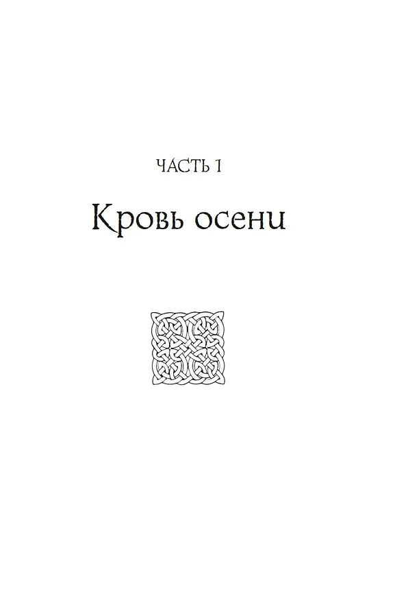Книга Руны земли (Георг Киппер) — 23