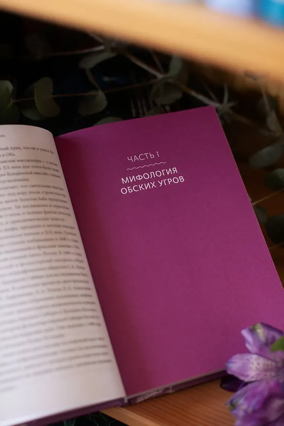 Книга Мифы Западной Сибири. От Оби и Алтайских гор до Старика-филина и Золотой бабы (Татьяна Муравьева) — 13