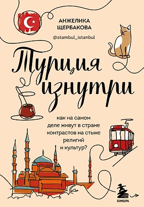 Турция изнутри. Как на самом деле живут в стране контрастов на стыке религий и культур? (дополненное издание)