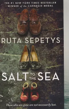 Salt to the Sea