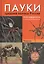 Пауки средней полосы России — 2263106 — 2