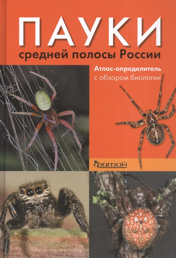 Книга Пауки средней полосы России (Римма Сейфулина) — 2