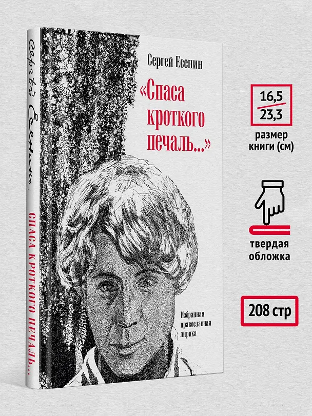 Книга &quot Спаса кроткого печаль...&quot  Избранная православная лирика (Сергей Есенин) — 6