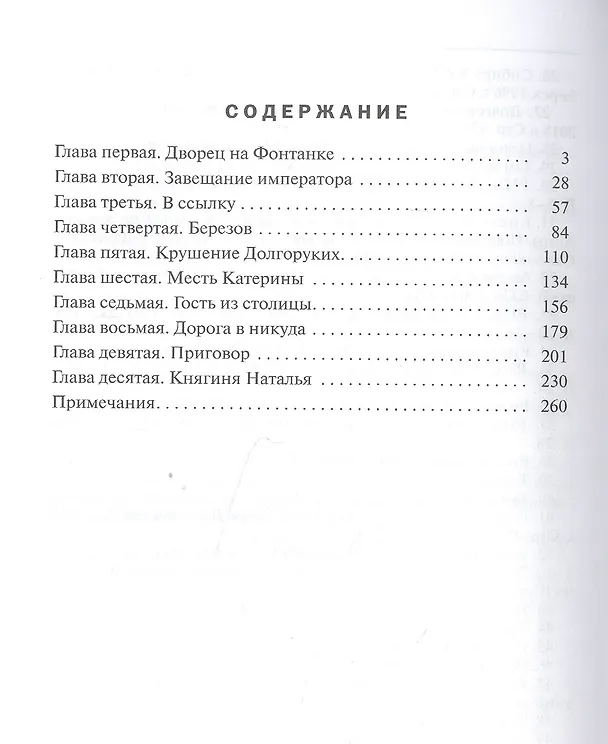 Книга Княгиня Долгорукова (Владимир Васильев, Владимир Васильев) — 2